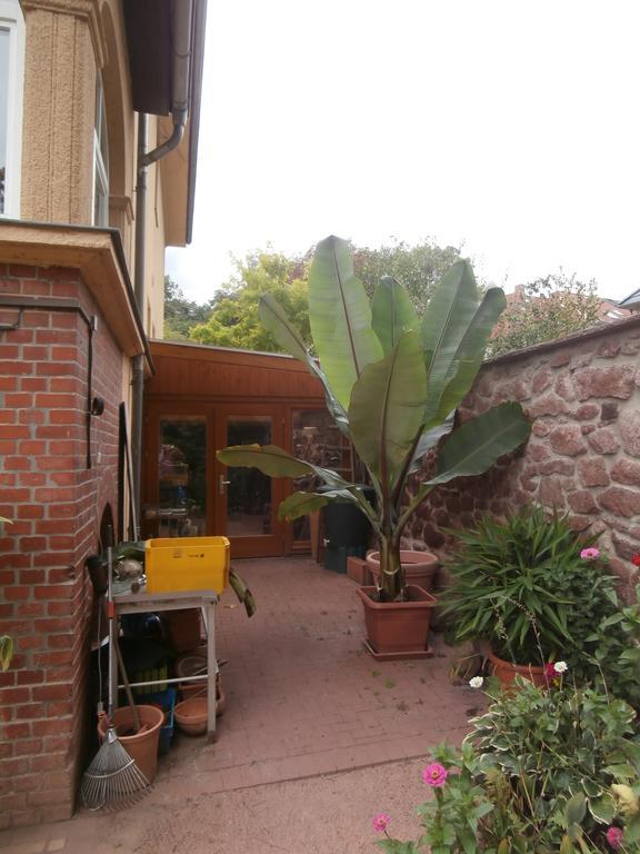 Ferienwohnung Saaleblick Halle  المظهر الخارجي الصورة